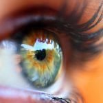 Glaucoma Screening