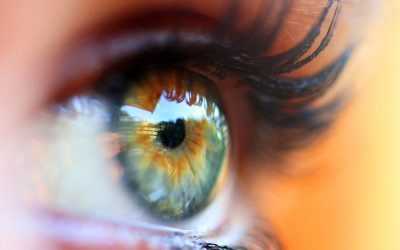 Why Glaucoma Screening Matters How regular eye exams can help protect your long-term vision